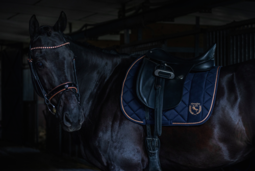 Valtrap|Ratsavarustus|Premium Horse